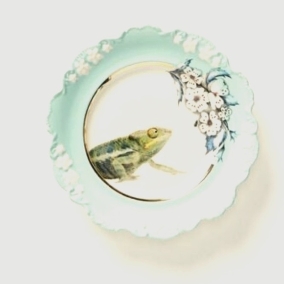 Nature Table Plates by Lou Rota for Anthropologie  Anthropologie  Lou Rota Nature Menagerie  Side Plate.